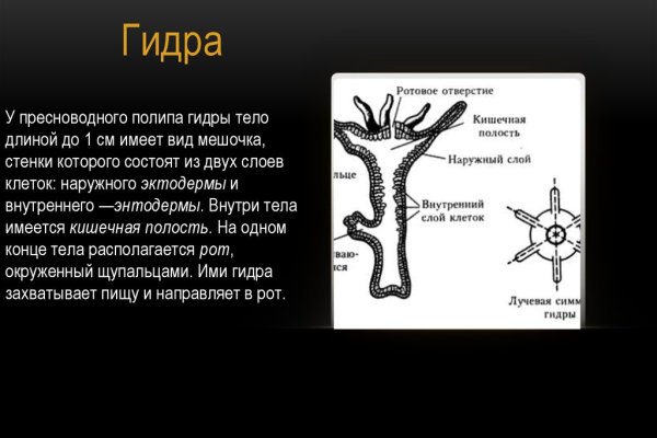 Значок кракена маркетплейса